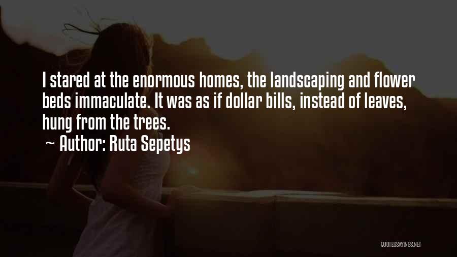 Ruta Sepetys Quotes: I Stared At The Enormous Homes, The Landscaping And Flower Beds Immaculate. It Was As If Dollar Bills, Instead Of