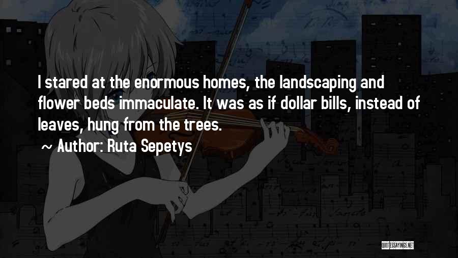 Ruta Sepetys Quotes: I Stared At The Enormous Homes, The Landscaping And Flower Beds Immaculate. It Was As If Dollar Bills, Instead Of