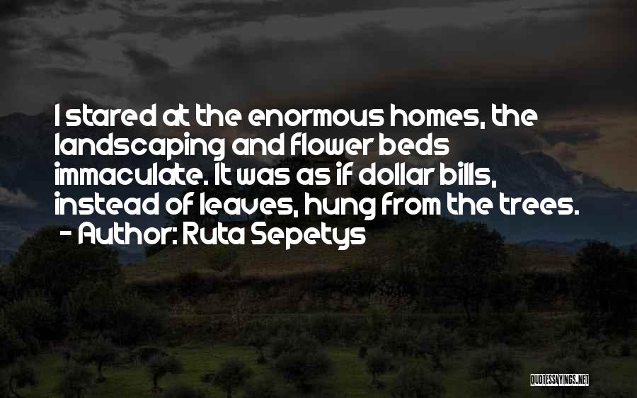 Ruta Sepetys Quotes: I Stared At The Enormous Homes, The Landscaping And Flower Beds Immaculate. It Was As If Dollar Bills, Instead Of
