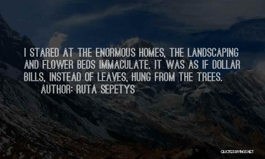 Ruta Sepetys Quotes: I Stared At The Enormous Homes, The Landscaping And Flower Beds Immaculate. It Was As If Dollar Bills, Instead Of