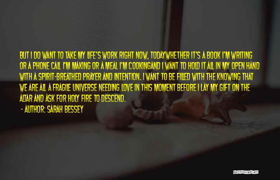 Sarah Bessey Quotes: But I Do Want To Take My Life's Work Right Now, Todaywhether It's A Book I'm Writing Or A Phone