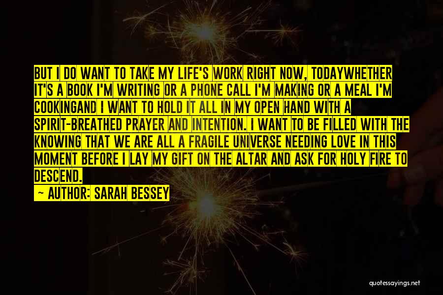 Sarah Bessey Quotes: But I Do Want To Take My Life's Work Right Now, Todaywhether It's A Book I'm Writing Or A Phone