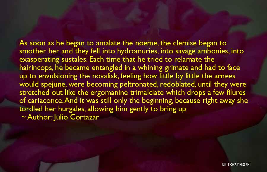 Julio Cortazar Quotes: As Soon As He Began To Amalate The Noeme, The Clemise Began To Smother Her And They Fell Into Hydromuries,