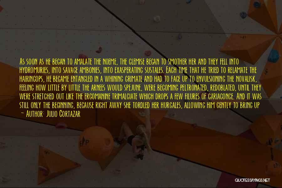 Julio Cortazar Quotes: As Soon As He Began To Amalate The Noeme, The Clemise Began To Smother Her And They Fell Into Hydromuries,