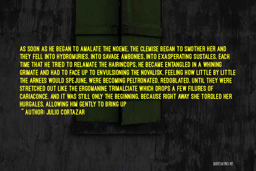 Julio Cortazar Quotes: As Soon As He Began To Amalate The Noeme, The Clemise Began To Smother Her And They Fell Into Hydromuries,