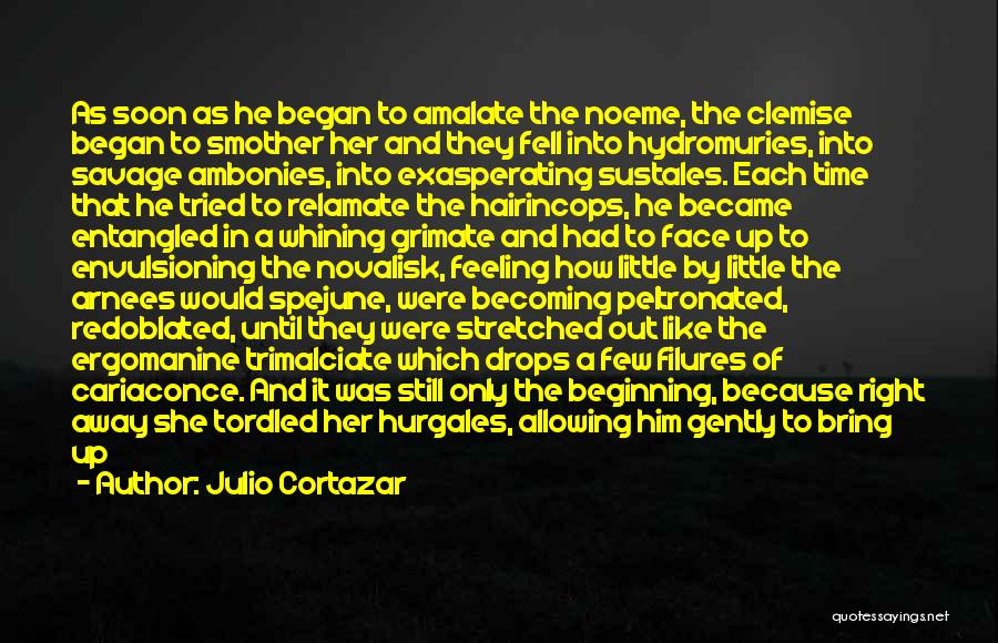 Julio Cortazar Quotes: As Soon As He Began To Amalate The Noeme, The Clemise Began To Smother Her And They Fell Into Hydromuries,