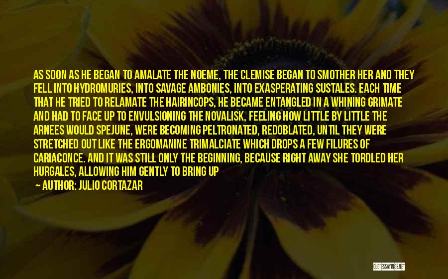 Julio Cortazar Quotes: As Soon As He Began To Amalate The Noeme, The Clemise Began To Smother Her And They Fell Into Hydromuries,