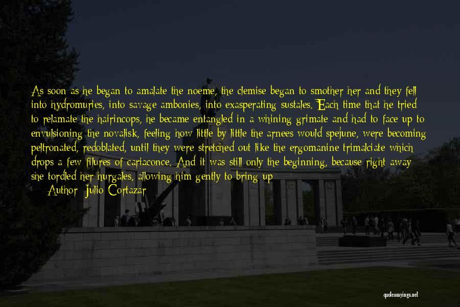 Julio Cortazar Quotes: As Soon As He Began To Amalate The Noeme, The Clemise Began To Smother Her And They Fell Into Hydromuries,