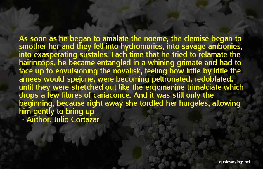 Julio Cortazar Quotes: As Soon As He Began To Amalate The Noeme, The Clemise Began To Smother Her And They Fell Into Hydromuries,