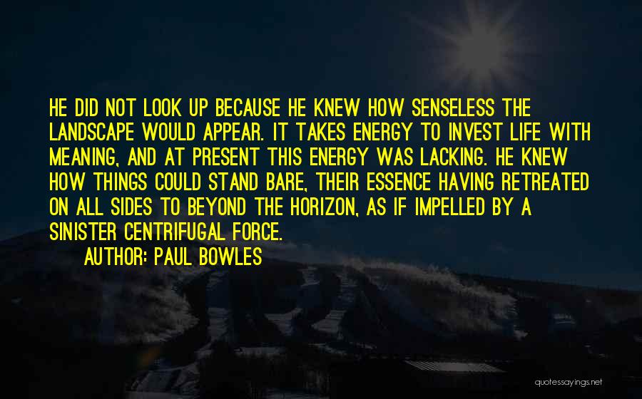 Paul Bowles Quotes: He Did Not Look Up Because He Knew How Senseless The Landscape Would Appear. It Takes Energy To Invest Life