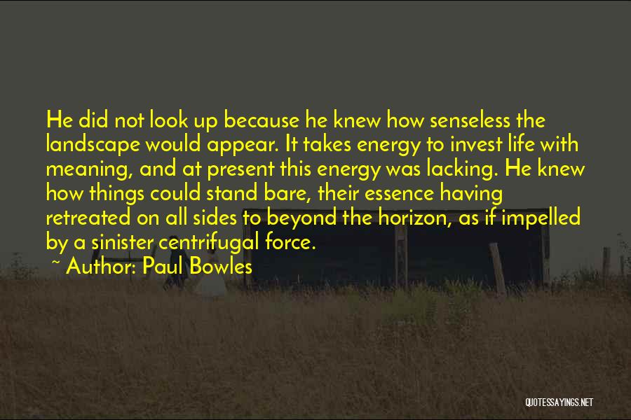 Paul Bowles Quotes: He Did Not Look Up Because He Knew How Senseless The Landscape Would Appear. It Takes Energy To Invest Life