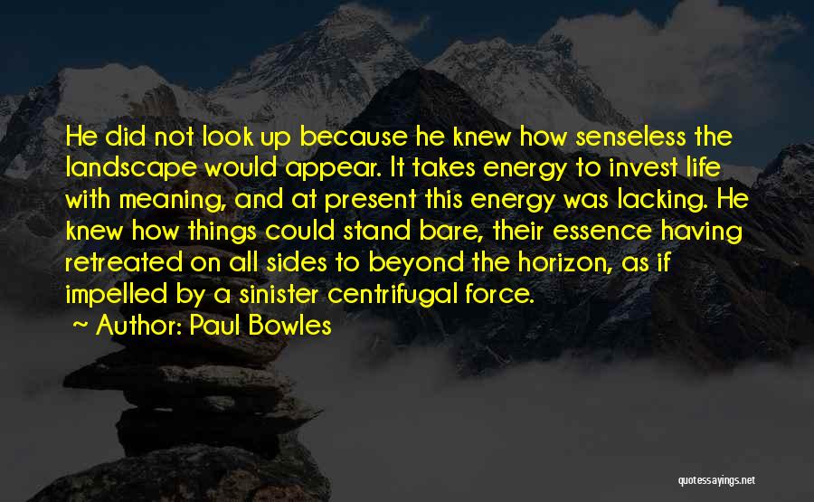 Paul Bowles Quotes: He Did Not Look Up Because He Knew How Senseless The Landscape Would Appear. It Takes Energy To Invest Life