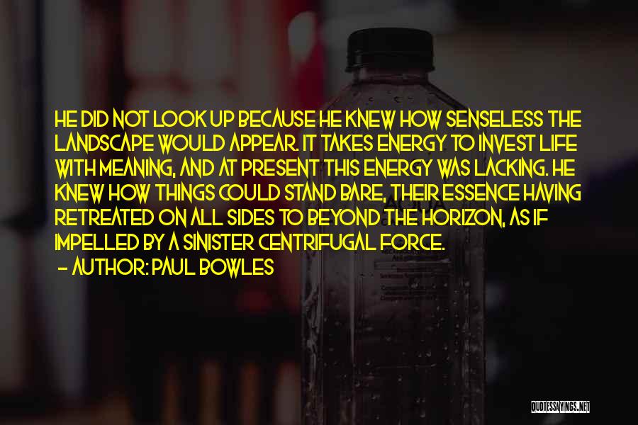 Paul Bowles Quotes: He Did Not Look Up Because He Knew How Senseless The Landscape Would Appear. It Takes Energy To Invest Life