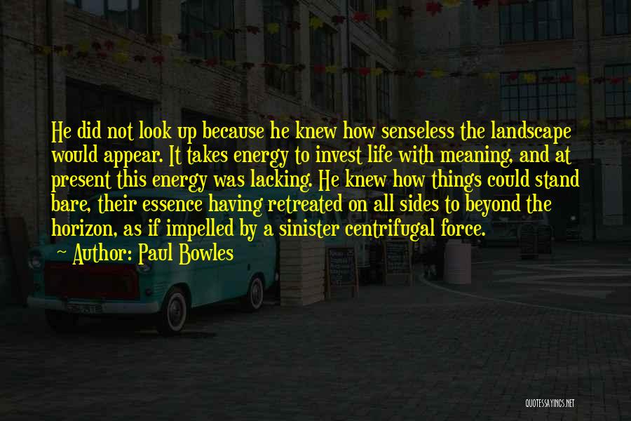 Paul Bowles Quotes: He Did Not Look Up Because He Knew How Senseless The Landscape Would Appear. It Takes Energy To Invest Life