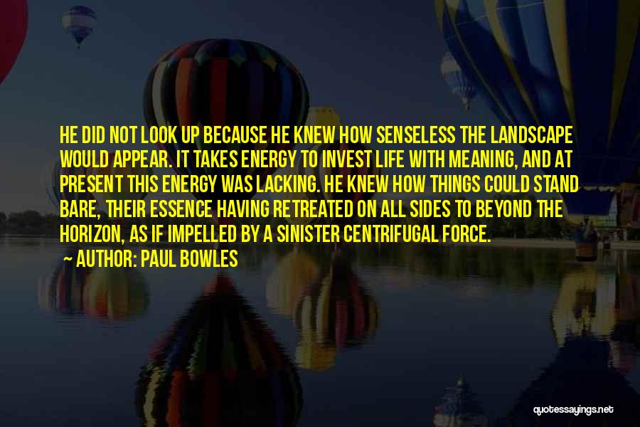 Paul Bowles Quotes: He Did Not Look Up Because He Knew How Senseless The Landscape Would Appear. It Takes Energy To Invest Life