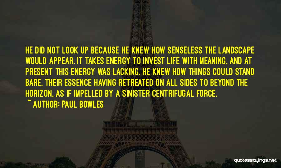 Paul Bowles Quotes: He Did Not Look Up Because He Knew How Senseless The Landscape Would Appear. It Takes Energy To Invest Life