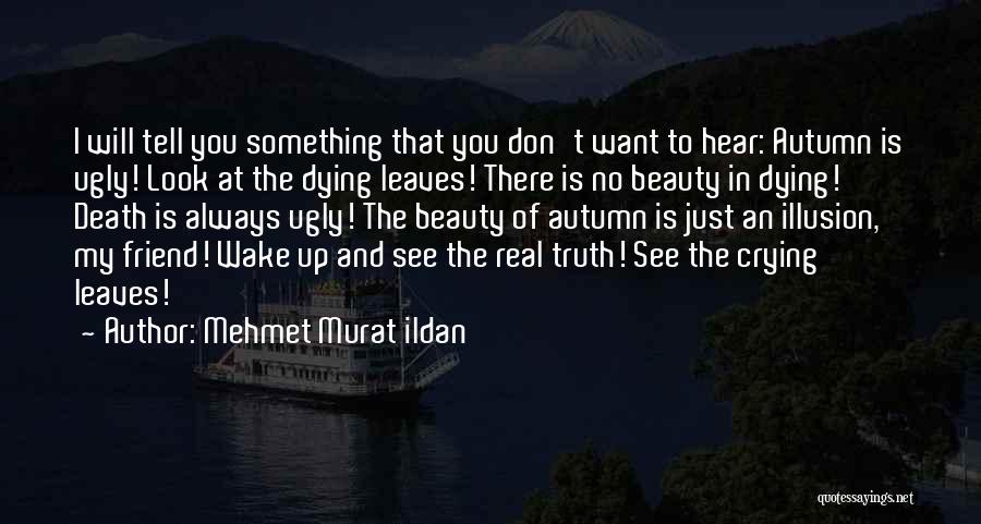 Mehmet Murat Ildan Quotes: I Will Tell You Something That You Don't Want To Hear: Autumn Is Ugly! Look At The Dying Leaves! There