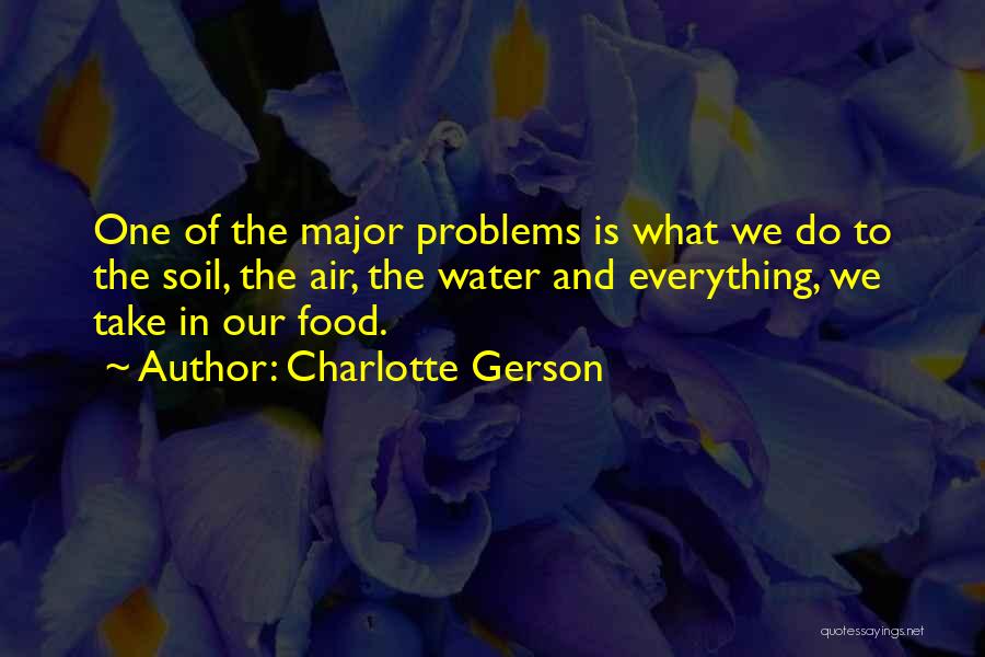 Charlotte Gerson Quotes: One Of The Major Problems Is What We Do To The Soil, The Air, The Water And Everything, We Take