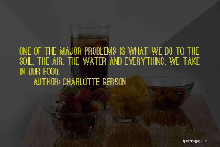 Charlotte Gerson Quotes: One Of The Major Problems Is What We Do To The Soil, The Air, The Water And Everything, We Take