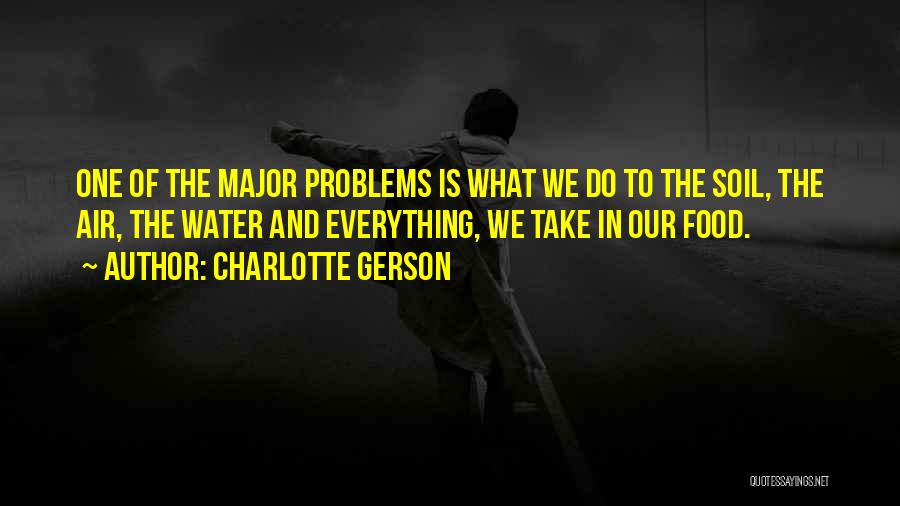 Charlotte Gerson Quotes: One Of The Major Problems Is What We Do To The Soil, The Air, The Water And Everything, We Take