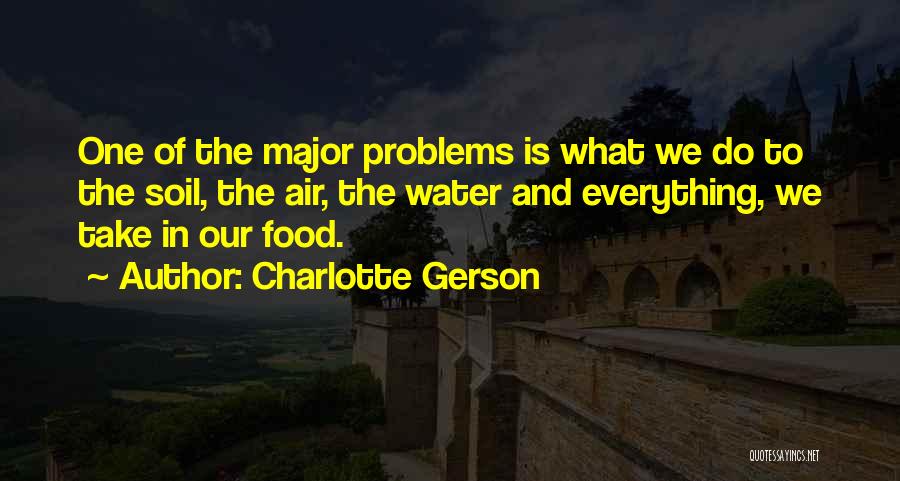 Charlotte Gerson Quotes: One Of The Major Problems Is What We Do To The Soil, The Air, The Water And Everything, We Take