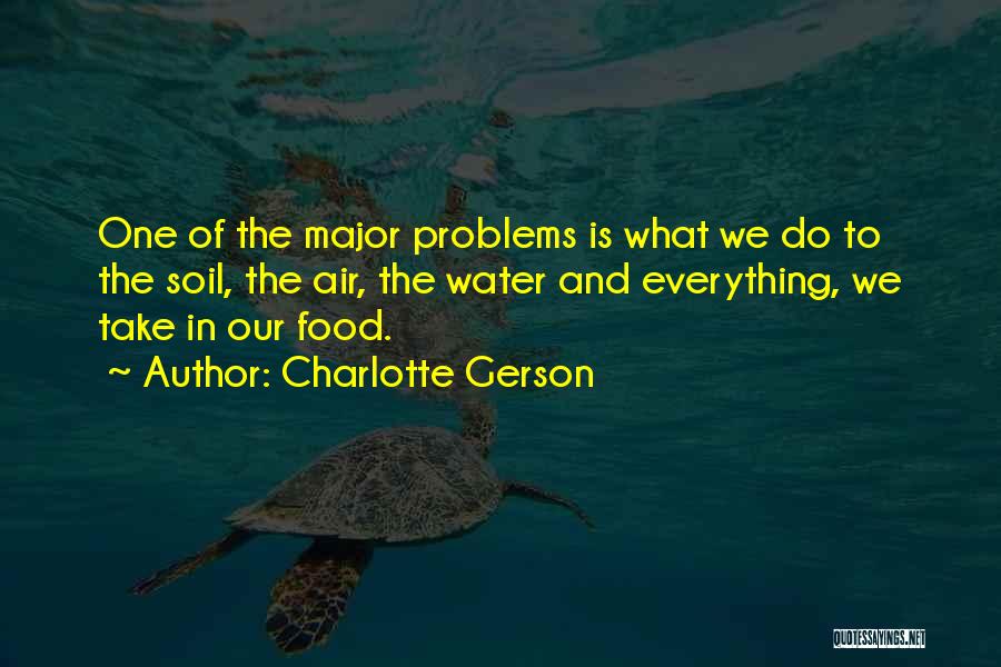 Charlotte Gerson Quotes: One Of The Major Problems Is What We Do To The Soil, The Air, The Water And Everything, We Take