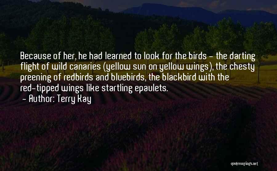 Terry Kay Quotes: Because Of Her, He Had Learned To Look For The Birds - The Darting Flight Of Wild Canaries (yellow Sun