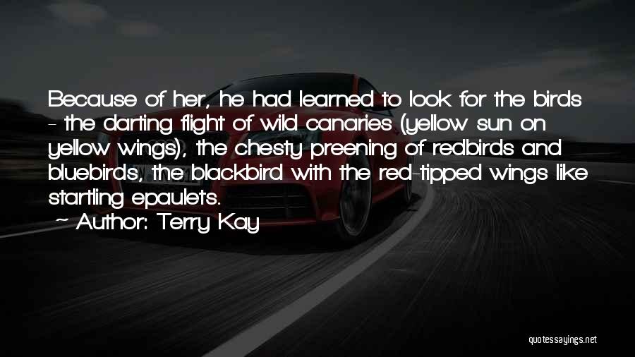 Terry Kay Quotes: Because Of Her, He Had Learned To Look For The Birds - The Darting Flight Of Wild Canaries (yellow Sun