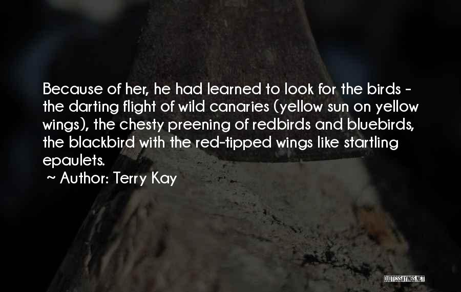 Terry Kay Quotes: Because Of Her, He Had Learned To Look For The Birds - The Darting Flight Of Wild Canaries (yellow Sun