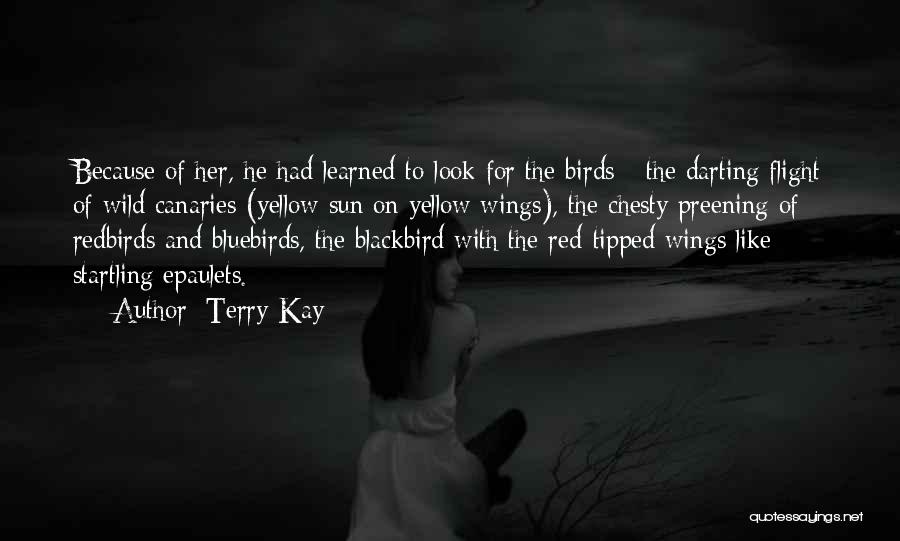 Terry Kay Quotes: Because Of Her, He Had Learned To Look For The Birds - The Darting Flight Of Wild Canaries (yellow Sun
