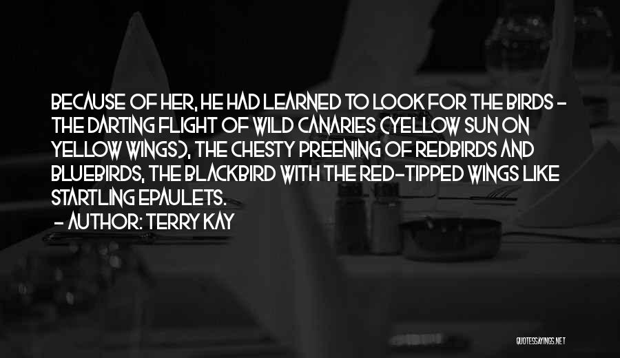 Terry Kay Quotes: Because Of Her, He Had Learned To Look For The Birds - The Darting Flight Of Wild Canaries (yellow Sun