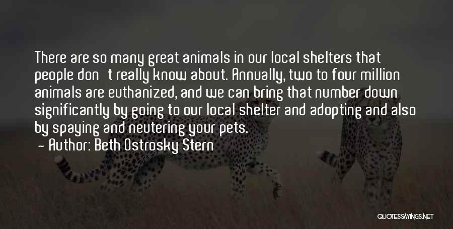Beth Ostrosky Stern Quotes: There Are So Many Great Animals In Our Local Shelters That People Don't Really Know About. Annually, Two To Four