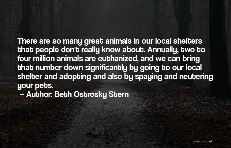 Beth Ostrosky Stern Quotes: There Are So Many Great Animals In Our Local Shelters That People Don't Really Know About. Annually, Two To Four