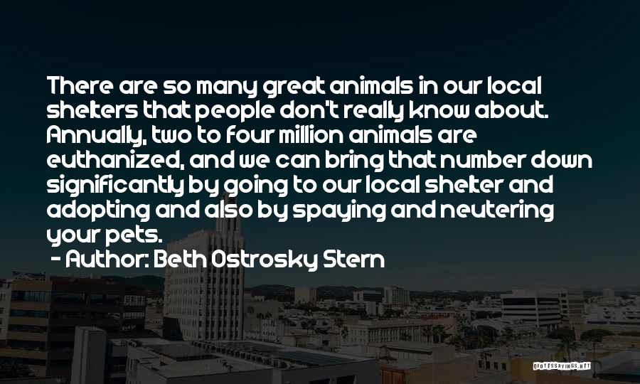 Beth Ostrosky Stern Quotes: There Are So Many Great Animals In Our Local Shelters That People Don't Really Know About. Annually, Two To Four