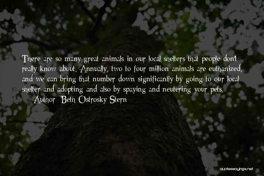 Beth Ostrosky Stern Quotes: There Are So Many Great Animals In Our Local Shelters That People Don't Really Know About. Annually, Two To Four