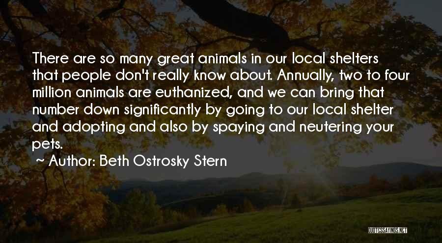 Beth Ostrosky Stern Quotes: There Are So Many Great Animals In Our Local Shelters That People Don't Really Know About. Annually, Two To Four