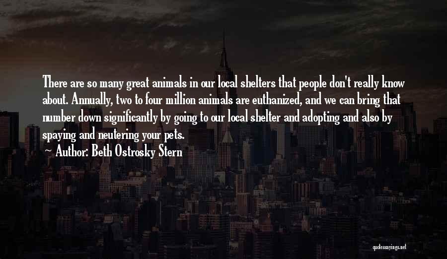 Beth Ostrosky Stern Quotes: There Are So Many Great Animals In Our Local Shelters That People Don't Really Know About. Annually, Two To Four