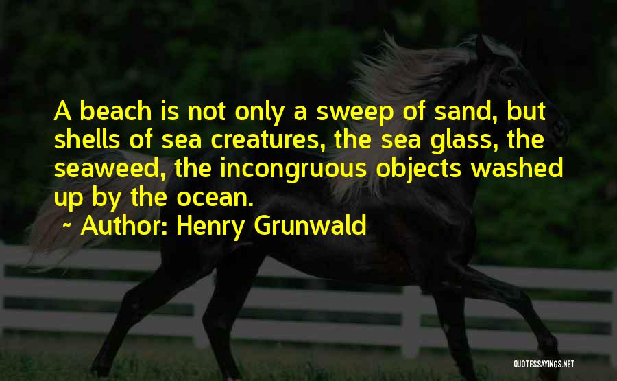 Henry Grunwald Quotes: A Beach Is Not Only A Sweep Of Sand, But Shells Of Sea Creatures, The Sea Glass, The Seaweed, The