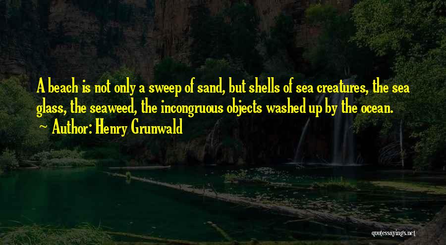 Henry Grunwald Quotes: A Beach Is Not Only A Sweep Of Sand, But Shells Of Sea Creatures, The Sea Glass, The Seaweed, The