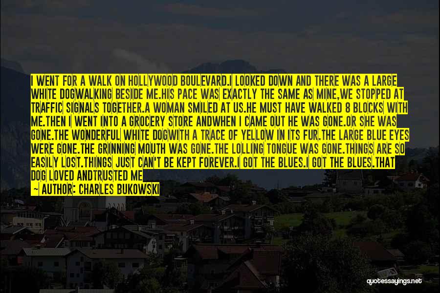 Charles Bukowski Quotes: I Went For A Walk On Hollywood Boulevard.i Looked Down And There Was A Large White Dogwalking Beside Me.his Pace