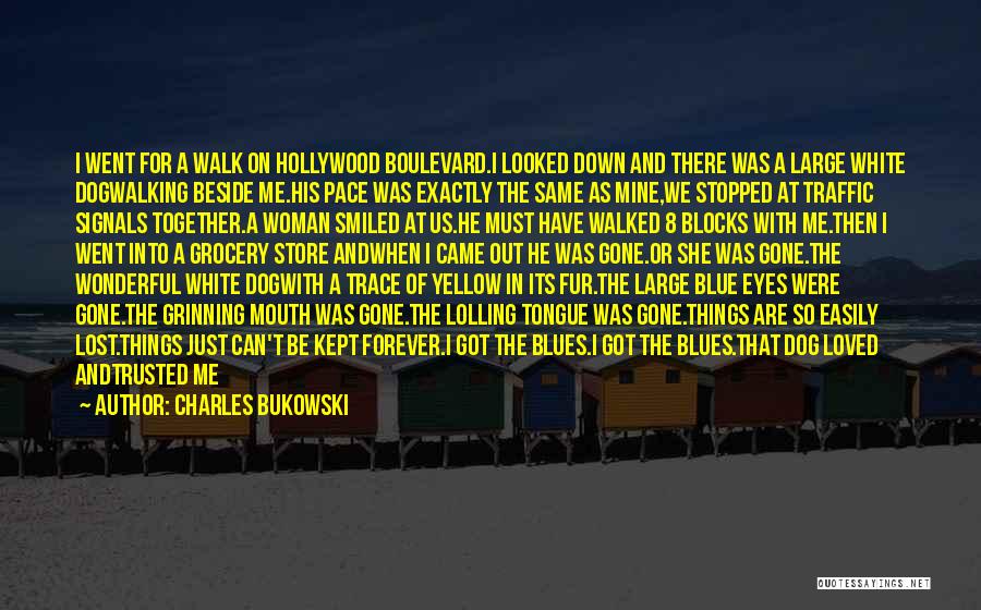 Charles Bukowski Quotes: I Went For A Walk On Hollywood Boulevard.i Looked Down And There Was A Large White Dogwalking Beside Me.his Pace