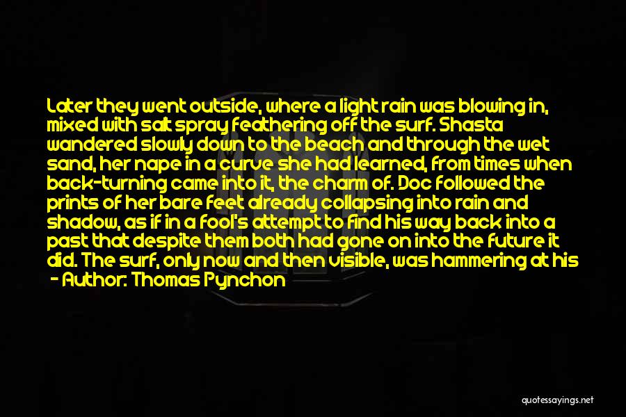 Thomas Pynchon Quotes: Later They Went Outside, Where A Light Rain Was Blowing In, Mixed With Salt Spray Feathering Off The Surf. Shasta