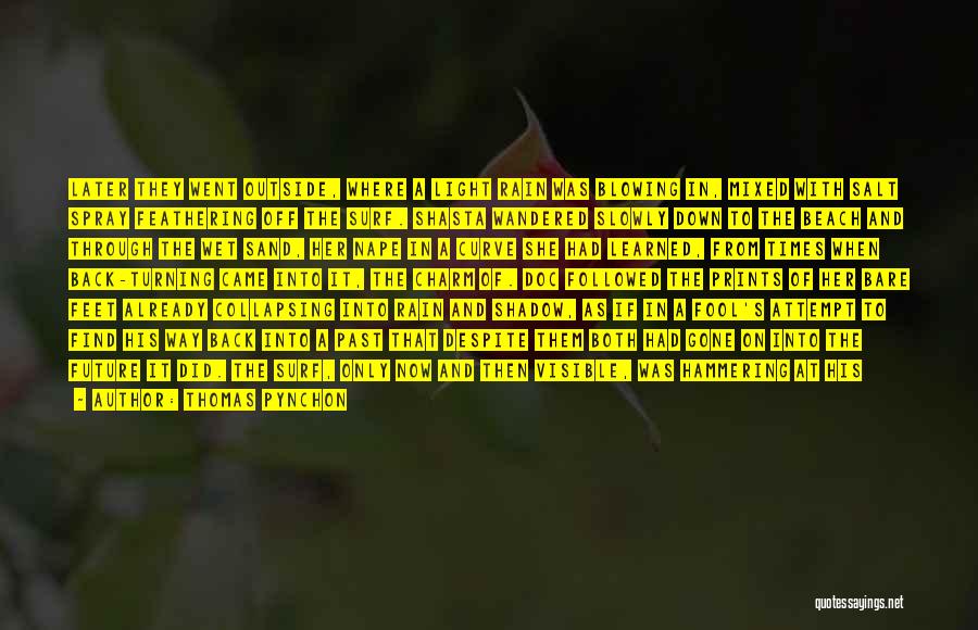 Thomas Pynchon Quotes: Later They Went Outside, Where A Light Rain Was Blowing In, Mixed With Salt Spray Feathering Off The Surf. Shasta