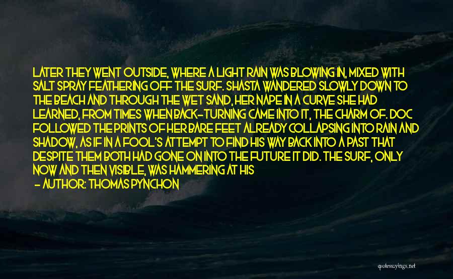 Thomas Pynchon Quotes: Later They Went Outside, Where A Light Rain Was Blowing In, Mixed With Salt Spray Feathering Off The Surf. Shasta