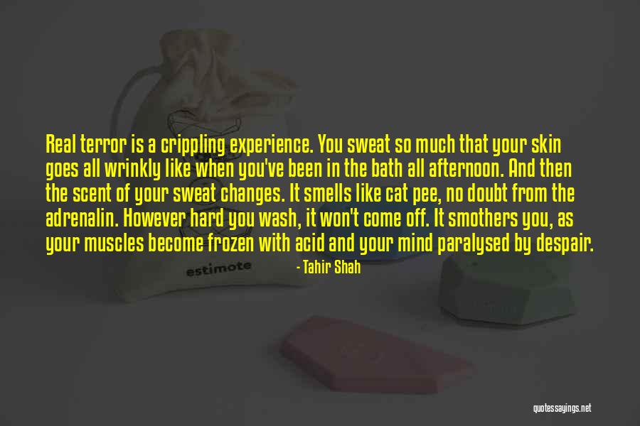 2008 Stimulus Check Quotes By Tahir Shah 2008 Stimulus Check Quotes By Tahir Shah