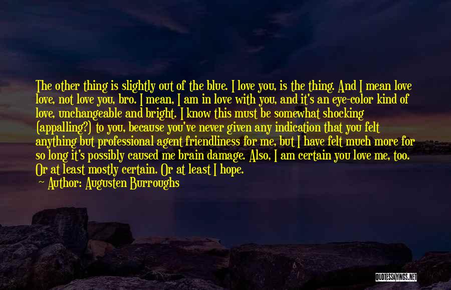 Augusten Burroughs Quotes: The Other Thing Is Slightly Out Of The Blue. I Love You, Is The Thing. And I Mean Love Love,