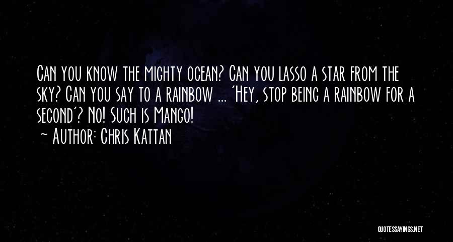 Chris Kattan Quotes: Can You Know The Mighty Ocean? Can You Lasso A Star From The Sky? Can You Say To A Rainbow