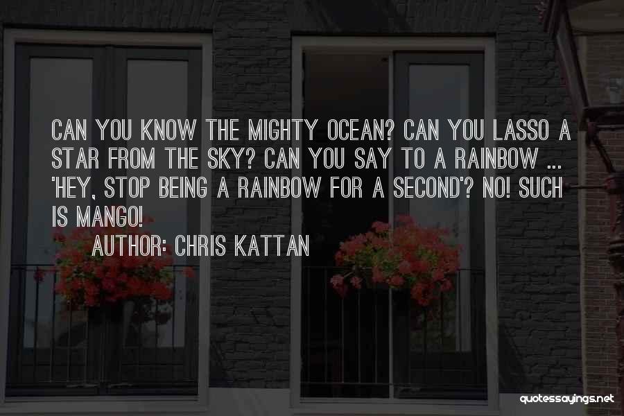 Chris Kattan Quotes: Can You Know The Mighty Ocean? Can You Lasso A Star From The Sky? Can You Say To A Rainbow