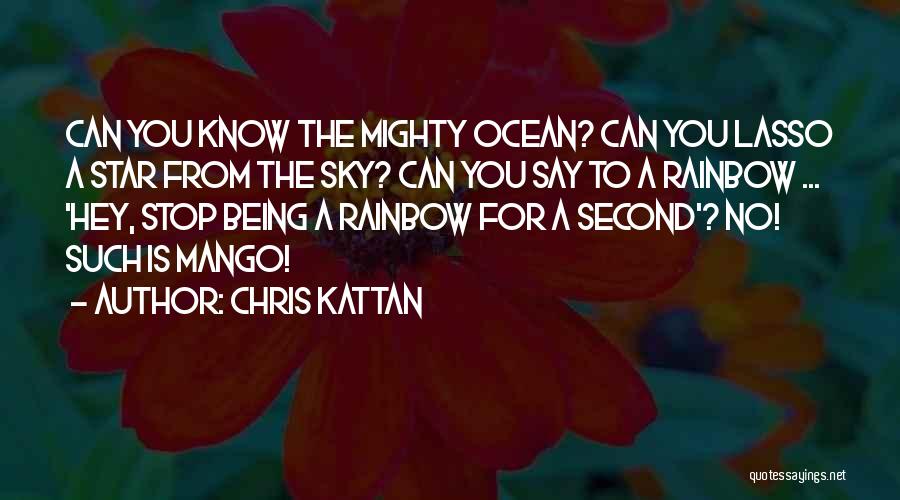 Chris Kattan Quotes: Can You Know The Mighty Ocean? Can You Lasso A Star From The Sky? Can You Say To A Rainbow