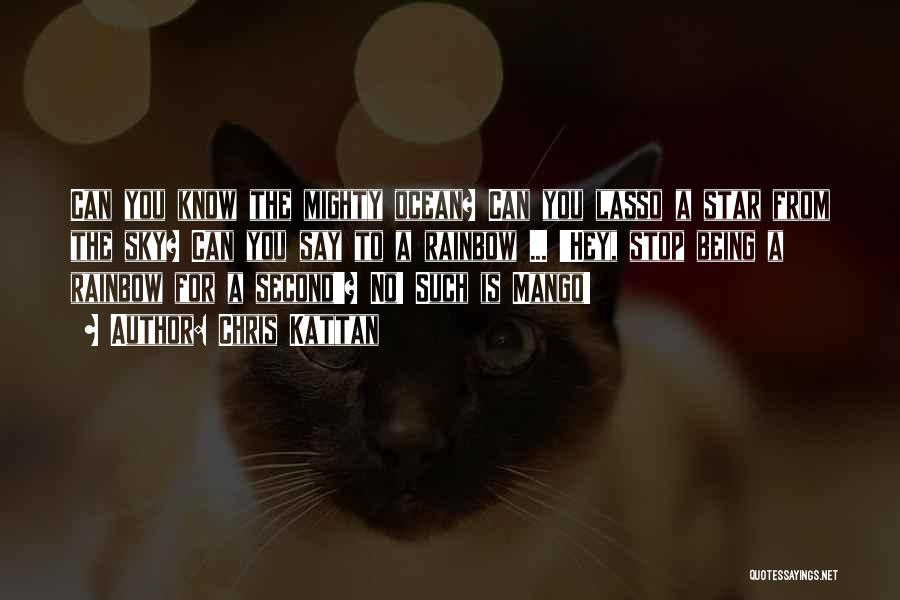 Chris Kattan Quotes: Can You Know The Mighty Ocean? Can You Lasso A Star From The Sky? Can You Say To A Rainbow